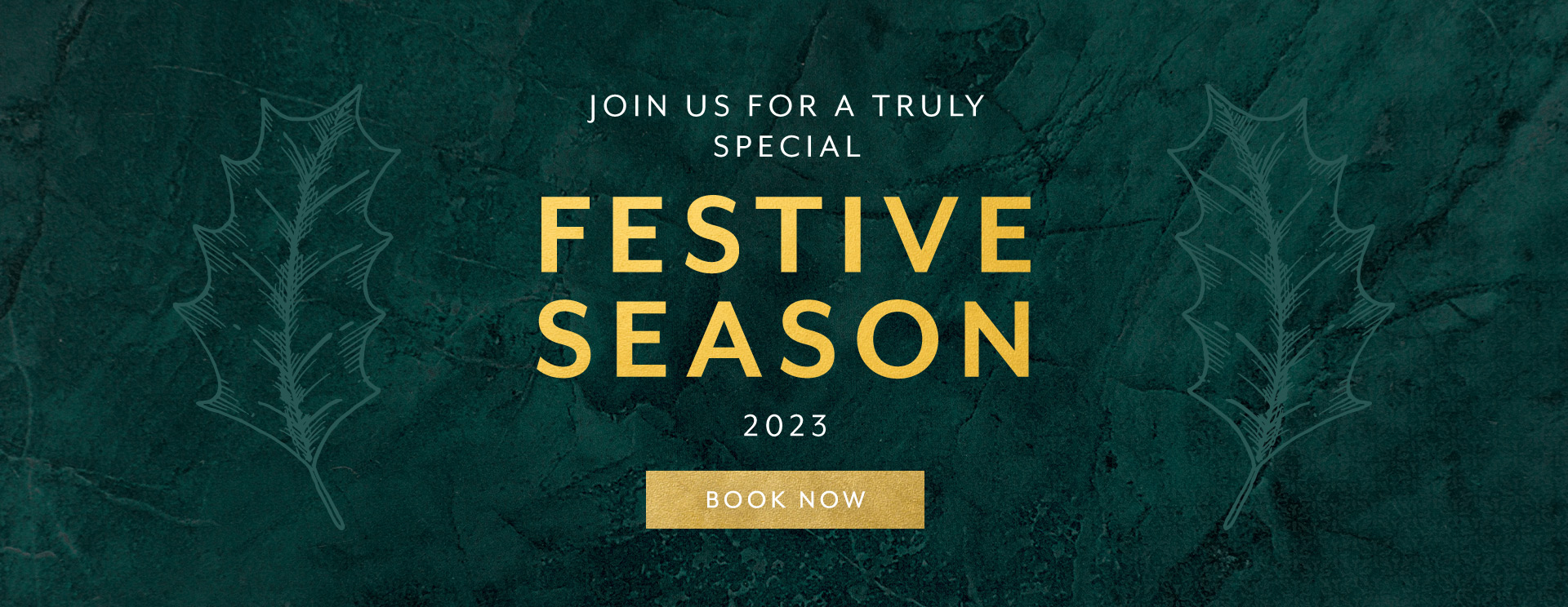 Christmas 2023 at Wotton