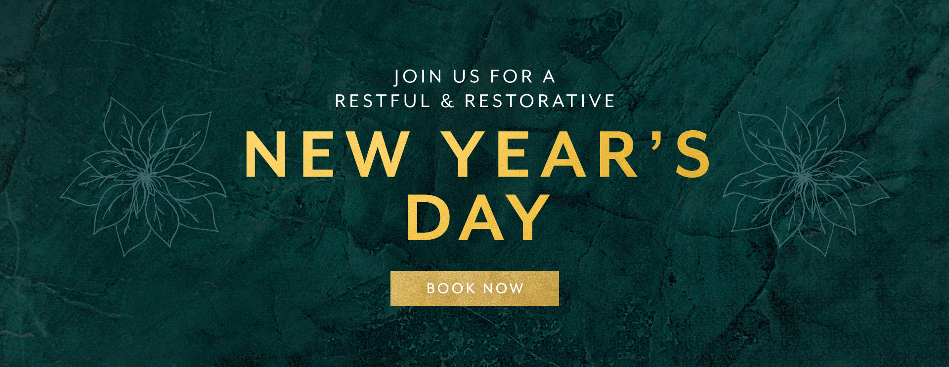 New Year's Day at The Wotton Hatch